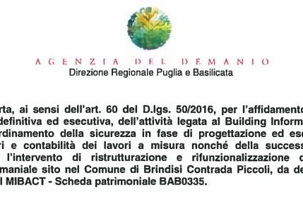 disciplinare bim disciplinare bim